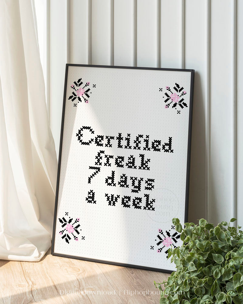 Certified freak 7 days a week | Funny rap lyrics cross stitch | Hip hop bathroom sign - HiphopBoutiq