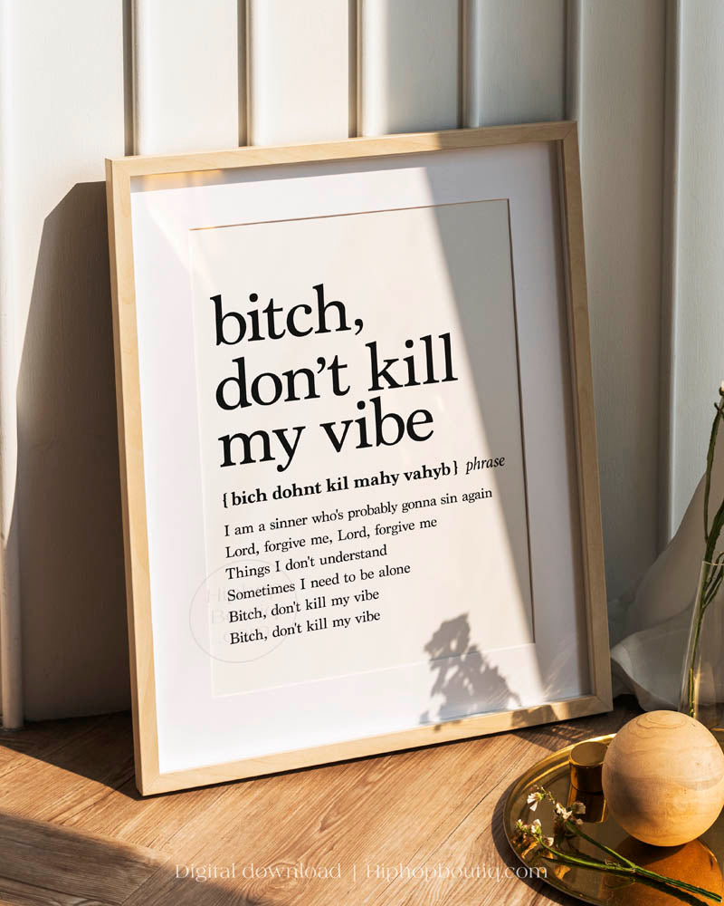 Bitch Don't Kill My Vibe Definition Poster - HiphopBoutiq