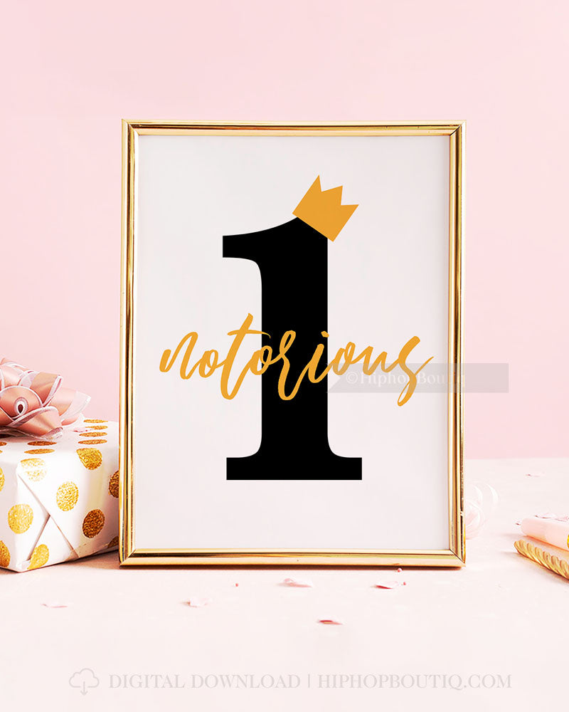 No biggie birthday party decorations | Notorious one first birthday | 90s hip hop party bundle - HiphopBoutiq